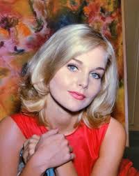 Moon Puddles by Robert R. Gamble. . . "is one of the most interesting books  I have ever read.. a brilliant road trip book. . . Recommended to anyone  who grew up