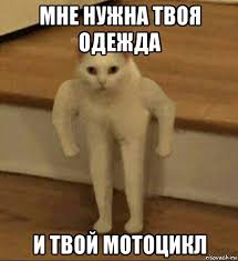 мне нужна твоя одежда и твой мотоцикл, Мем Полукот - Рисовач .Ру