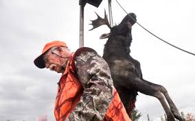We did not find results for: So You Want To Hunt A Maine Moose Here S What You Need To Know Piscataquis Observer