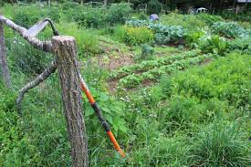 … without crop residue, soil particles become more easily dislodged, being moved or 'splashed' away. Low And No Till Gardening Unh Extension