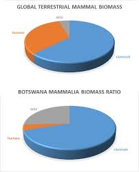 Human Vs Livestock Vs Wild Mammal Biomass On Earth