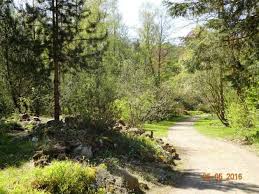 Forstbotanischer garten eberswalde is a stunning botanical garden. Folge 8 Forstbotanischer Garten Eberswalde Pdf Free Download