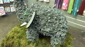 Elephant 3d Funeral Tribute Video Elephant Funeral Tribute Video In 2020 Funeral Tributes Funeral Flowers Funeral