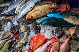 Makan Ikan Biar Pintar Kalau Ikan Mengandung Plastik Bagaimana