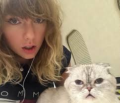 Taylor Swift's Cats' Net Worth in 2025 Is Positively Jaw-Dropping