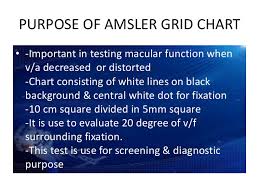 Amsler Grid Chart