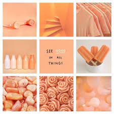 Maybe you would like to learn more about one of these? Art Is The Weapon Aesthetics Pastel Orange Wattpad