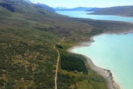 Watch greenland 2020 full movie on 123movies. Greenland Trees Carbon Drawdown For A Green Planet