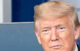 Canada's next trade battle: consensus building at the WTO