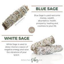 You light the stick and the smoke from the smudge stick clears the energy. Blue Sage Vs White Sage Both Are Amazing And Serve Great Purposes But It S Important To Know The Difference For Your Herbal Magic Healing Herbs Spirituality