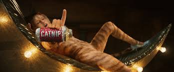 Cats is a feature film adaptation of the musical of the same name, based on old possum's book of practical cats by t s eliot. Taylor Swift Cats Movie Gif Taylor Swift Album