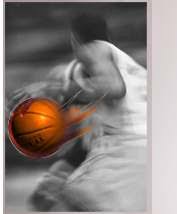 The Hard Court Herald