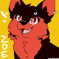 Https Encrypted Tbn0 Gstatic Com Images Q Tbn 3aand9gcqfnogfbsde W Bkubqm0hzfw8agp2grgcuyg Usqp Cau