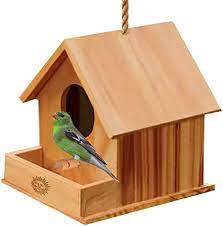 We've sized this birdhouse to fit a variety of smaller bird species. Amazon Com Sungrow Diy Paintable Bird House With Porch Attracts Small Birds Craft For Kids Home Decor Beautiful Gift For All Ages Hang Bird Feeder Indoors Or Outdoors 1 Pc Pet Supplies
