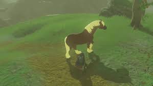 Have helped nic stoneground with the exploration of dino valley. Breath Of The Wild Amiibo Functionality Explained Usgamer