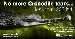 Forestathon Day 17 The Indian Gharial Crocodile Is Critically Endangered With Only A Handful Left In India The Protection Of Forest Habitat Gharial Forest