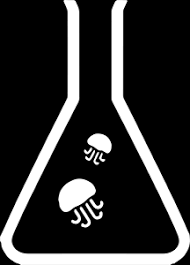 The moon jellyfish is a benthic creature introduced in new horizons. Uk Jellyfish Buy Live Pet Jellyfish Jellyfish Food Aquariums