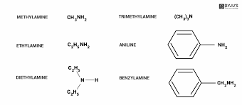 Aniline Is A Weaker Base Than Ammonia Whereas Methyl Amine Is A Stronger Base  Than Ammonia. Explain. - Zigya