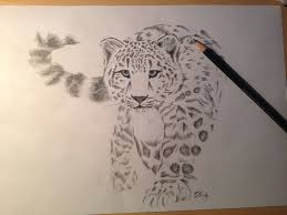 This leopard is drawn with pencils on paper. Pencil Drawing Snow Leopard Leopard Drawing Snow Leopard Drawing Snow Leopard Tattoo
