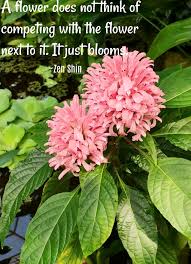 Include note just because why you send it. Inspirational Flower Quotes Motivational Sayings With Photos Of Flowers