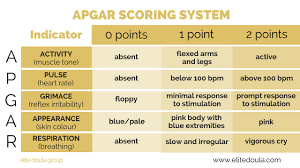 What Is The Apgar Scoring System Scoring System Apgar