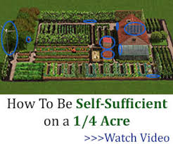 Sustainable production that provides everything you need for food. The Self Sufficient Backyard Book Review Ask A Prepper