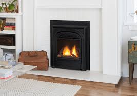 Her nle için anında hazır 4k ve hd video. Valor Portrait Series Insert Gas Fireplace Toronto Best Price
