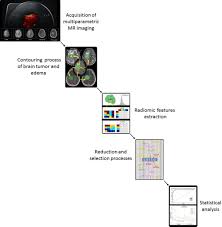 The Cureus Journal Of Medical Science Peer Reviewed Open