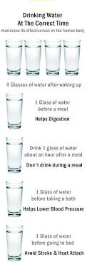 Pin On Diet