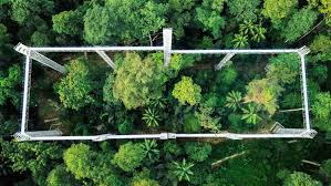 The forest research institute वन अनुसन्धान संस्थान is a natural resource service training institute of the indian council of forestry resear. Forest Skywalk Frim Visionkl