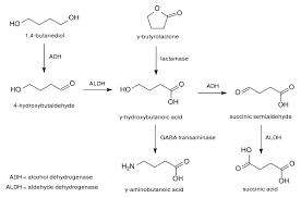 Check spelling or type a new query. Gamma Hydroxybutyric Acid Wikipedia