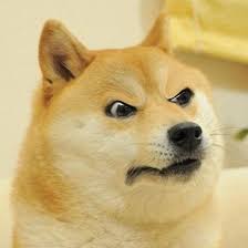 Doge is the loving, confused shiba inu doggo that took the internet, and subsequently the world by storm. Cheems Crying Buff Doge Meme Coffee Tea Mug 11oz Latest Dank Swole Big Doge Meme Funny Dog Gift For Birthday Funny Dog Gifts Doge Meme Silly Animals