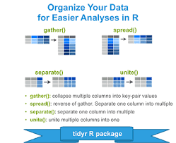 Tidyr Crucial Step Reshaping Data With R For Easier Analyses Data Analysis Data Science