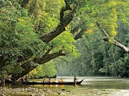 Taman negara national park malaysia. Taman Negara Wallpapers Wallpaper Cave