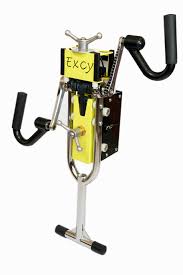 Willing to provide room and shared living space for 300/month in exchange for minor assistance for elderly woman. Rent To Own The Excy Xcr 300