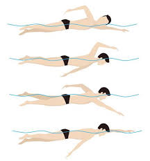 Sebutkan 4 Model Gaya Renang Hobiku Berenang