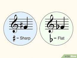 How To Get Perfect Pitch: 12 Steps (With Pictures) - Wikihow