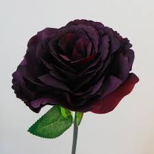 Maybe you would like to learn more about one of these? Artificial Roses Burgundy 46cm Artificial Flowers