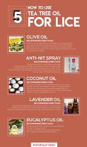 Pin On Naturally Daily Infographics