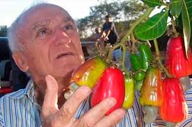 Senado homenageia Jaime Tomaz de Aquino, empreendedor da cajucultura —  Senado Notícias