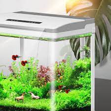 Is he just really lazy? Aquarium Fish Tank Betta Fish Aquarium Creative Lazy Desktop Fish Tank Home Self Circulating Glass Bring Water Free Feeding Box Terrariums Aliexpress