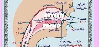 بحث عن مخارج الحروف العربية وصفاتها معلومة ثقافية