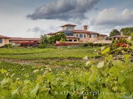 The Placer County Wine Comeback - capradio.org