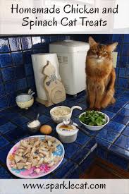 Cats are a bit more finicky and tend to not like things like peanut butter or molasses. Homemade Chicken And Spinach Cat Treats Homemade Cat Food Chicken Treats Chicken Cat