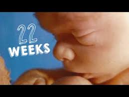 Mucho dolor en la pelvis semana 38. Semana 22 De Embarazo 22 Weeks Pregnant 6 Meses De Embarazo Desarrollo De Tu Bebe Youtube