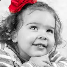 Jodi Gibson Photography