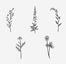 Trinity Has The Lavender Stalk Tattooed On The Ring Finger Of Her Right Hand Tinta Para Tatuaje Tatuajes Florales Tatuajes De Flores