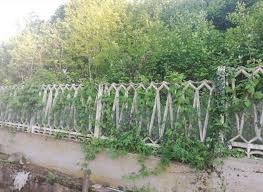 Questa è una lettera a tagliata al laser. Alberi E Distanze Dal Confine