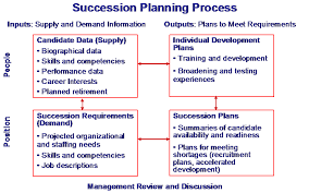 succession planning mcconnell consulting inc