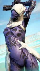 NNN is over [Mag] [Nyx] [Valkyr] [Mirage] [Wisp] [Nova] [Trinity] :  rWarframeRunway